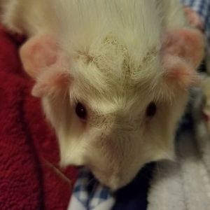 Meet your Posher, Allanah